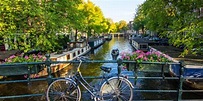 Amsterdam: Privater Rundgang auf Deutsch oder Englisch | GetYourGuide
