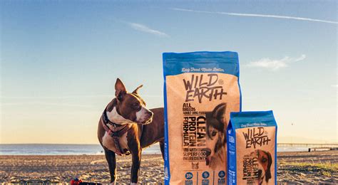 Wild earth recommends adding 25% of their kibble to your dogs current food for the first 2 days. Wild Earth Dog Food - As Seen On Shark Tank