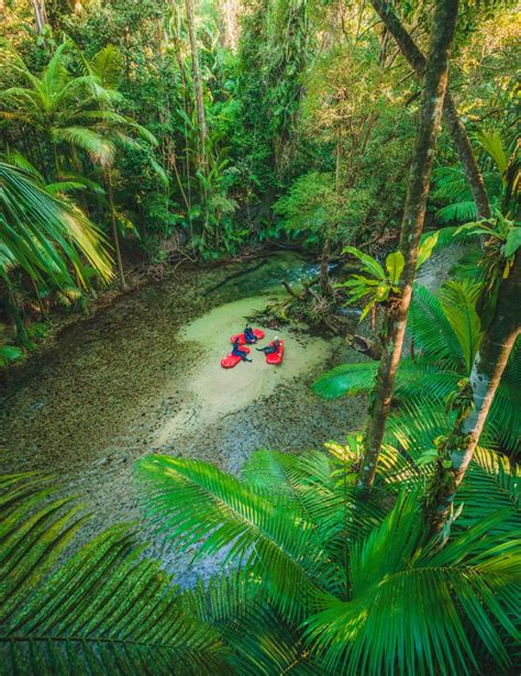 The World Heritage Listed Wet Tropics Of Queensland Five Regions