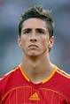 Sports Clubs: fernando torres best football players pictures