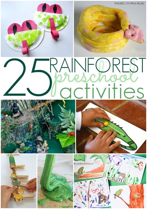 Printable Rainforest Activities