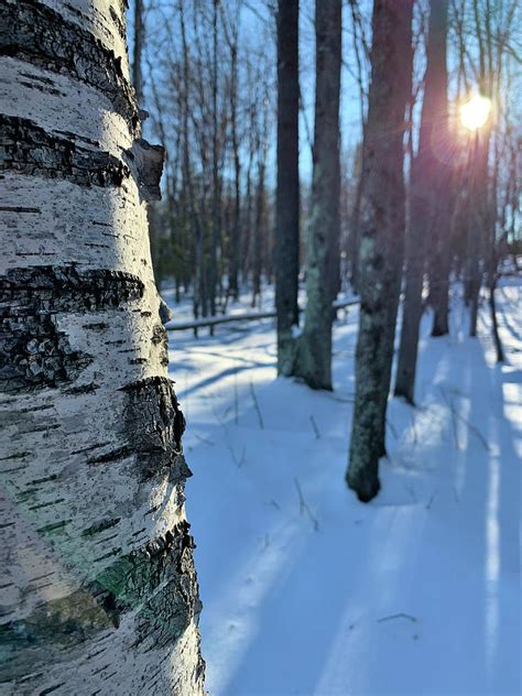 Winters Up North Photograph By Brandon Barkle Fine Art America