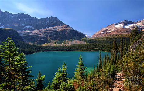 Beautiful Lake Ohara In Yoho National Park British Columbia Canada