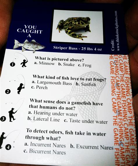Better yet, hand the template to your child and let her make a. Living Fly Legacy: Gear Review: Fishing Camp Board Game by ...