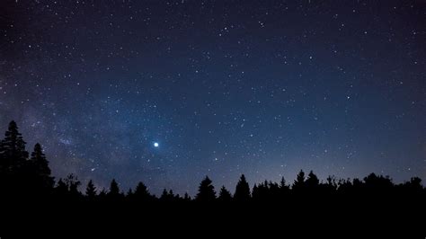 Download Wallpaper 2560x1440 Starry Sky Trees Space Widescreen 169 Hd Background
