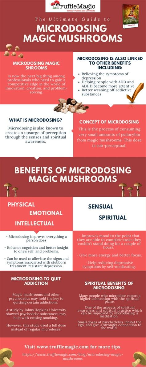 The Ultimate Guide To Microdosing Magic Mushrooms