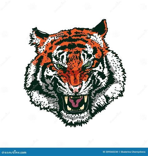 Angry Tiger Face The Grin Of A Tiger Detailed Drawing Of A Tiger