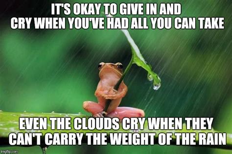 Frog With Umbrella Imgflip