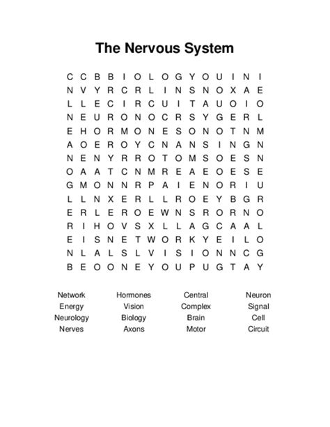 The Nervous System Word Search