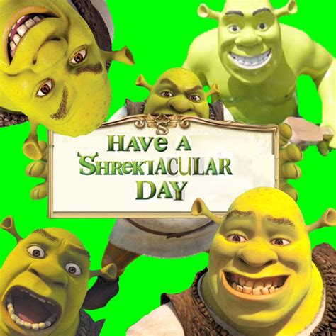 48 Hilarious Shrek Birthday Puns Punstoppable 🛑