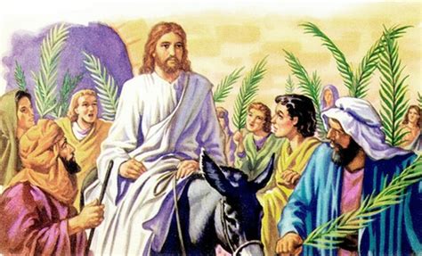 Download High Quality Palm Sunday Clipart Donkey Transparent Png Images