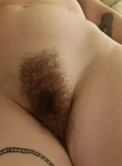 Freshly Trimmed Pussy Nudes Hairypussy Nude Pics Org