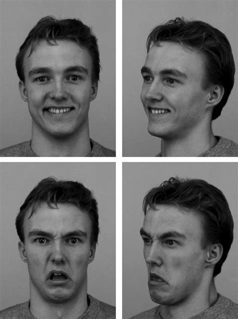 Examples Of Face Images Used In Our Experiments The Top Row Shows A Download Scientific