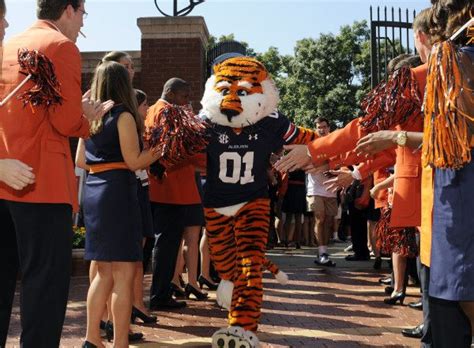 Tiger Walk Tiger Walking Auburn Tigers Auburn