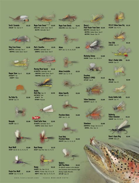 Fly Fishing Identification Chart
