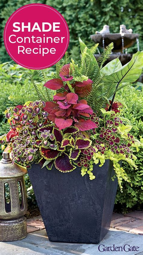 The Best Shade Flowers For Pots Enhance Your Outdoor Space