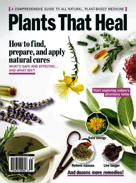 Plants That Heal A Comprehensive Guide To All Natural Plant Based