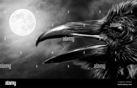 Raven Under A Black Night Sky Lit By A Full Moon Gothic Setting Stock
