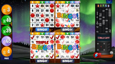 Download Bingo Free Bingo Games On Pc With Memu