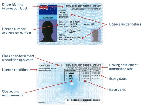 Driving Licence Explained Drivers License Motor Vehicle Images