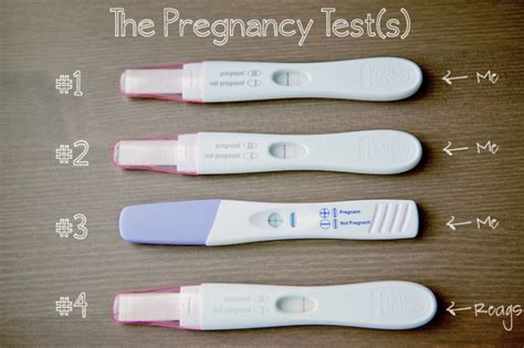 A false positive pregnancy test is one of the worst things for a woman trying to coneive. The pregnancy test showed a negative result - to believe ...