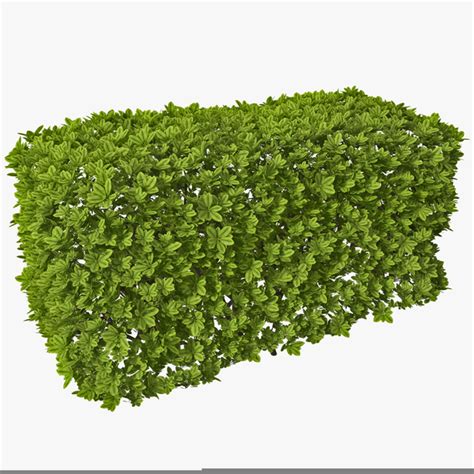 Bushes And Shrubs Clipart Free Images At Clker Com Vector Clip Art