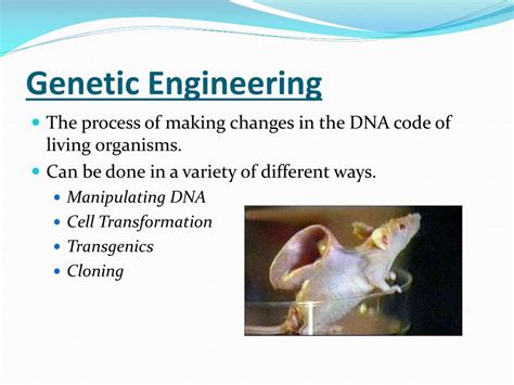 Ppt Genetic Engineering Powerpoint Presentation Free Download Id