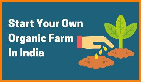 How To Start Your Organic Farming Venture In India