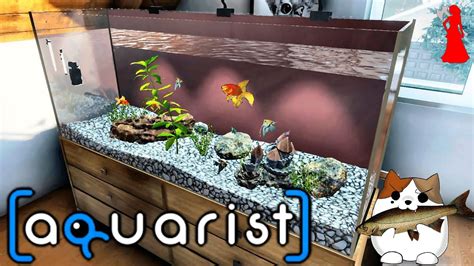 First Look Build The Most Beautiful Aquariums Aquarist New Fishy