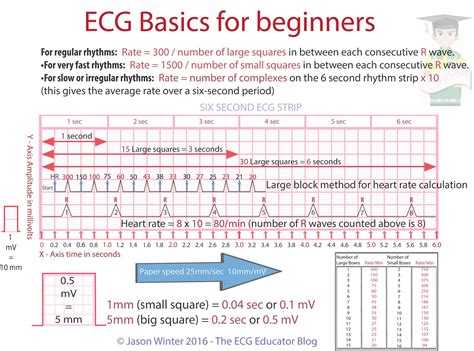 Ecg Educator Blog Basic Electrophysiology