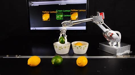 7bot Desktop Robot Arm Working With Assembly Line Youtube