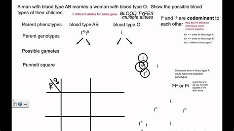 A punnett square is a diagram that was devised by an english geneticist named reginald punnett he was especially interested in why there was a consistent ratio of three to one in his experiments when a punnett square will not be useful. Genetic Crosses - Multiple Alleles, Blood Types (IB ...