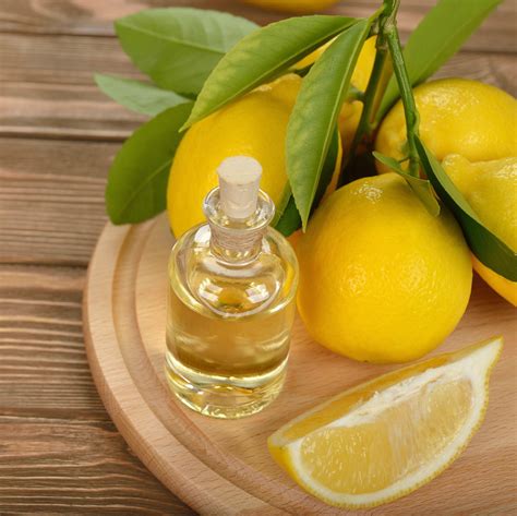 Lemon Oil At Rs 800kg Lemon Essential Oil नींबू का तेल Aroma World Ghaziabad Id