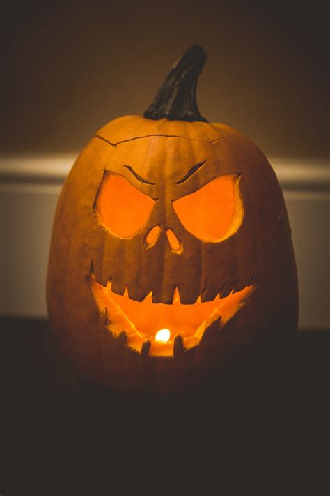 Halloween Pumpkin Faces Free Stock Photo Public Domain Pictures