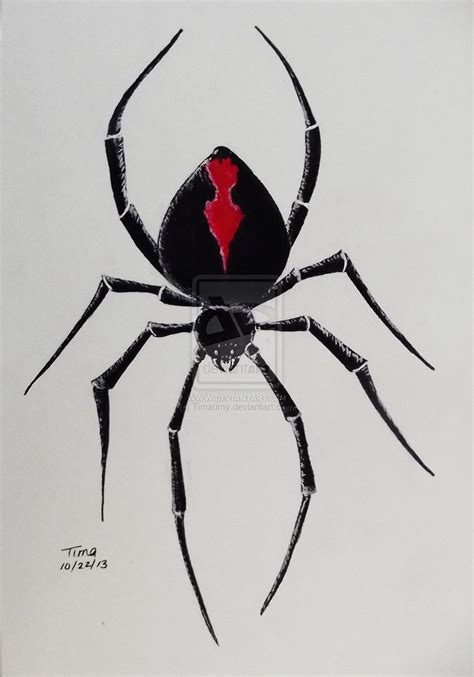 3d Black Widow Spider Tattoo Design By Timatimy Black Widow Spiders Hd
