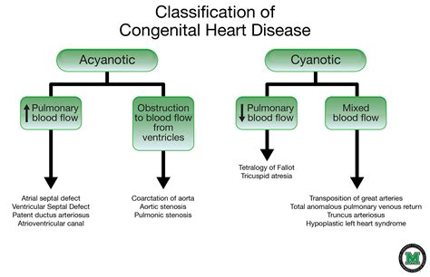 Image Result For Congenital Heart Disease Classification Congenital