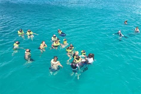 Barbados Turtle And Shipwreck Snorkel Adventure Bridgetown Project