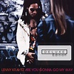 Lenny Kravitz: Are You Gonna Go My Way – Deluxe Edition Cover