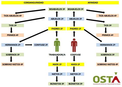 Grados De Parentesco Osta