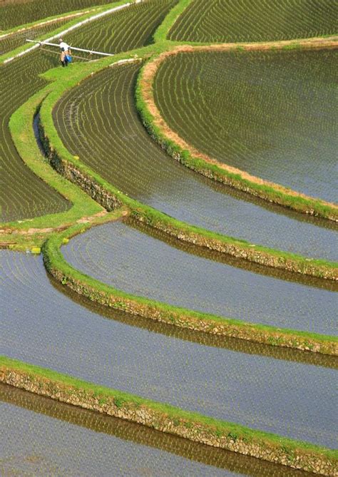 Beautiful Pictures Of Rice Terraces Amusing Planet Japan Travel