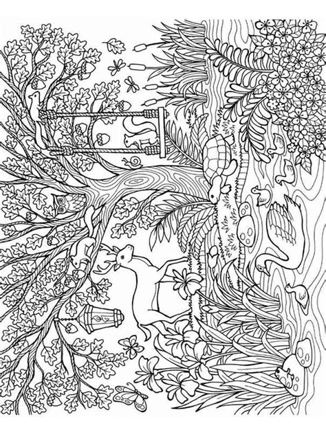 Forest Adult Coloring Pages