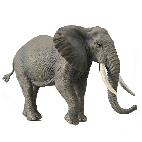 Collecta African Elephant 2022 Animal Kingdoms Toy Store