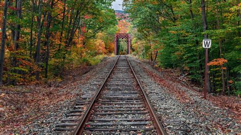 Wallpaper Railroad In The Forest Autumn 1920x1200 Hd Picture Image