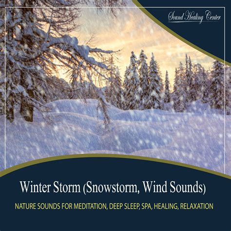 Winter Storm Snowstorm Wind Sounds Nature Sounds For Meditation Deep