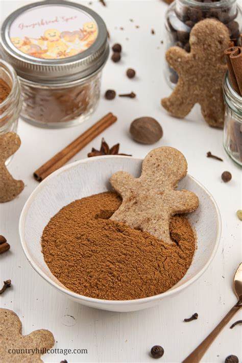 Gingerbread Spice Mix Homemade Seasoning Recipe