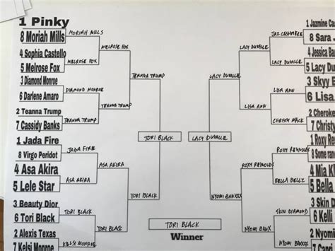 I Did The Porn Star Bracket That Is Going Viral On Twitter Barstool Sports