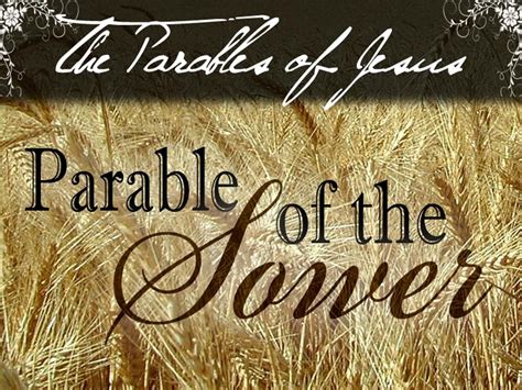 Parable Of The Sower Matthew Seed Soil Wayside Stony