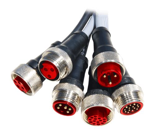 M12 4 Pin Cable With Pvc Or Pur Wire Made To Spec W Multiple Codings