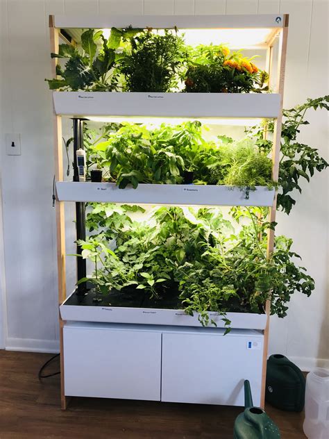 Meet Rise Gardens A New Kind Of Hydroponic System Artofit