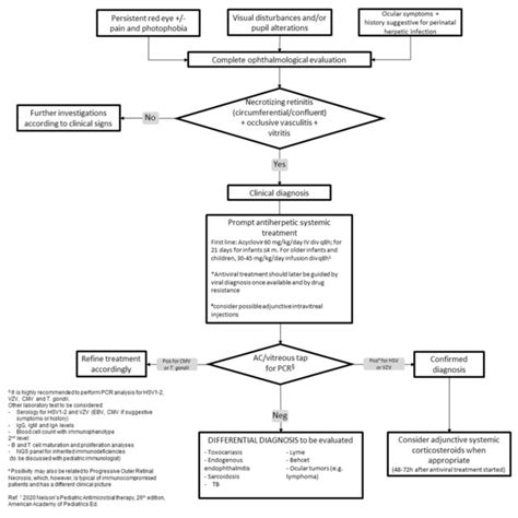 Flow Chart Summarizing The Recommended Approach To The Patient With